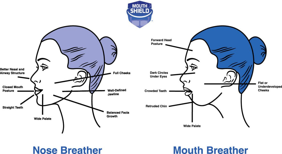Can Nasal Breathing Really Change Your Face? 7 in 10 Say Yes! - MouthShield